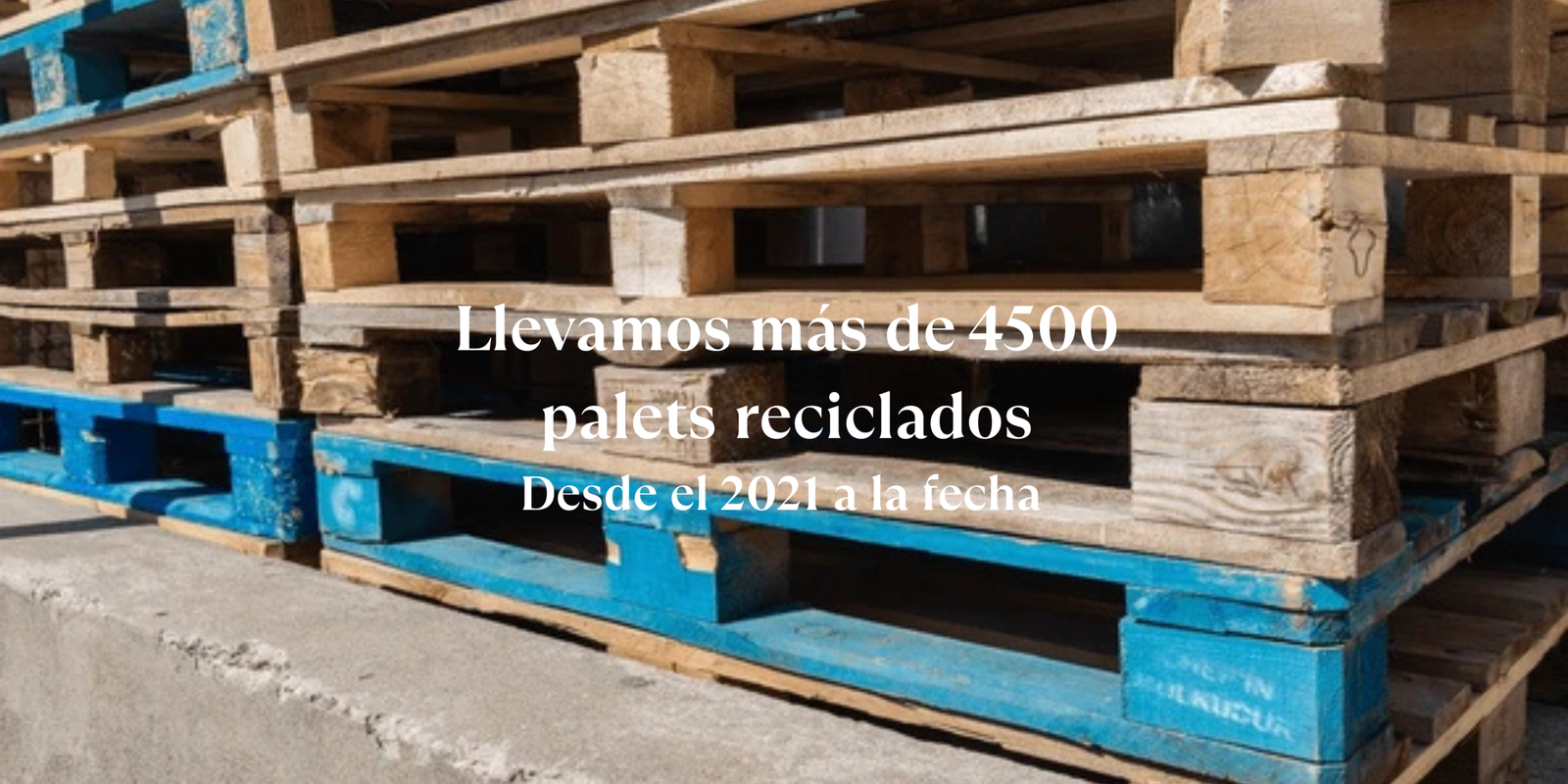 Banner palets reciclados