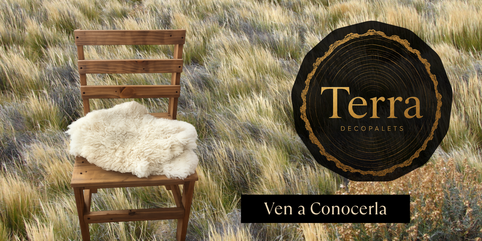 Banner terra
